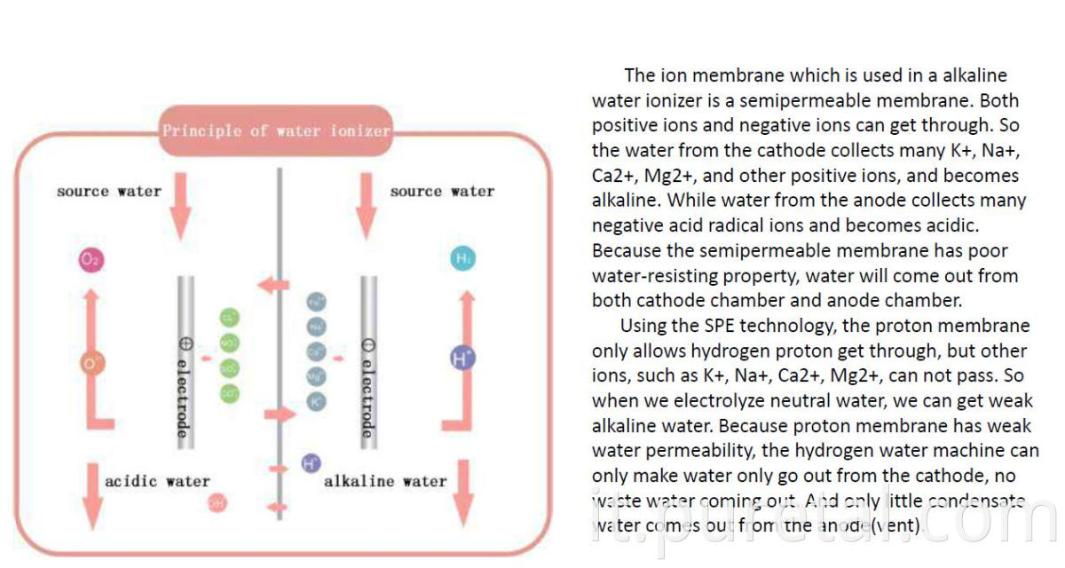 Kangen Water Machine Alcaline Acqua ionizzatore Purificatore Giappone